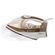 F-L-FERRO-PASSAR-6206-CHAMPAGNE-220V-OSTER