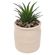 VASO-SUCULENTA-HONEY-BRANCO-24814-LHERMITAGE