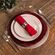 SOUSPLAT-GALLES-DOTS-ROUGE-COPA---CIA1